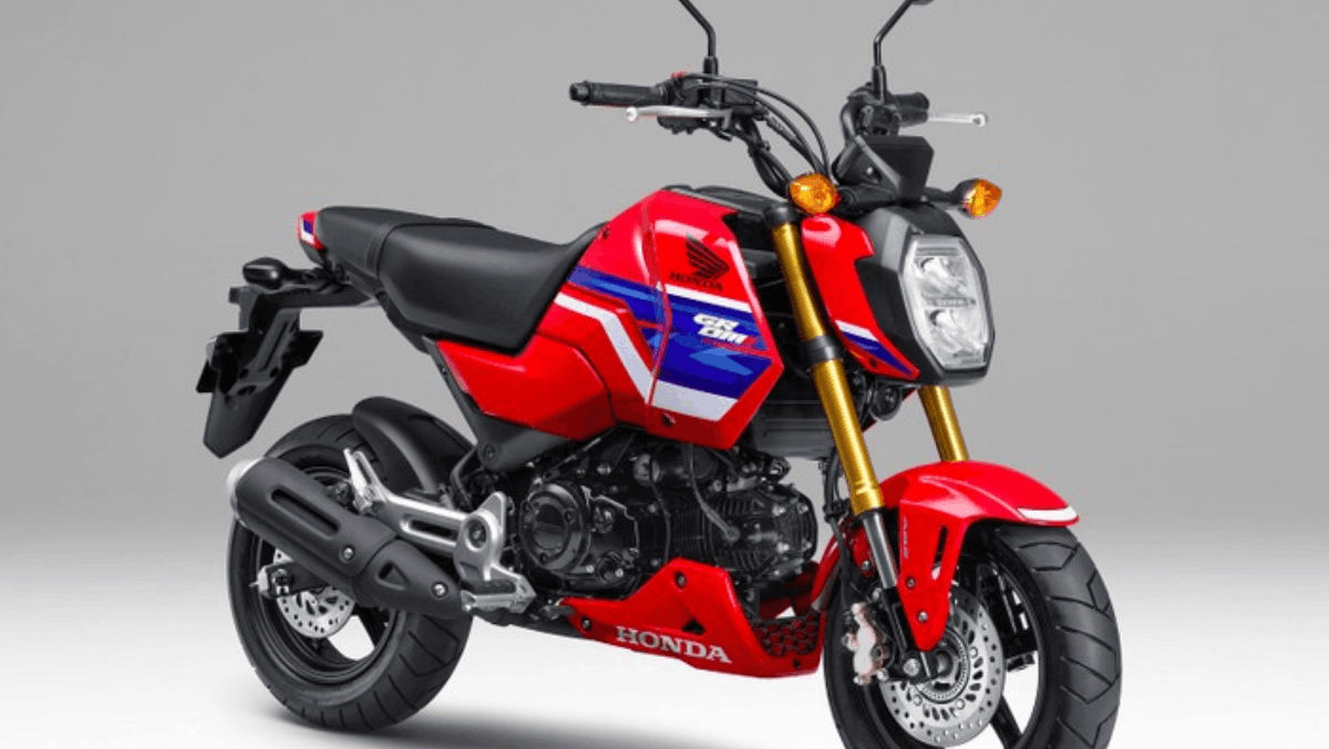 Varian Honda Grom 2026